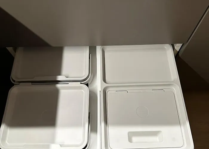 Nordic רובניימי