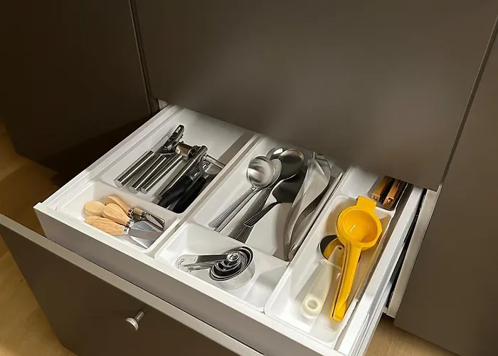 Nordic רובניימי